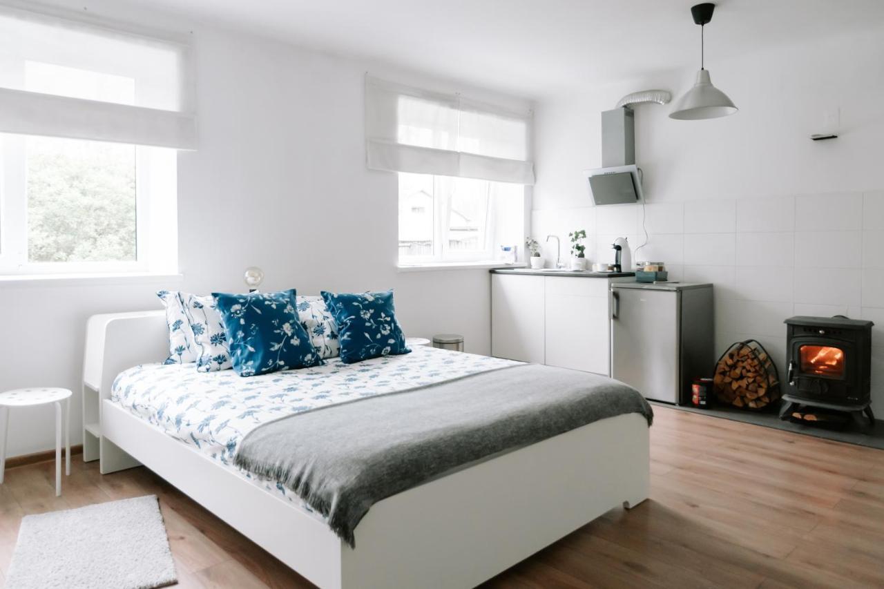 Lake Aluksne Studio Apartment 外观 照片