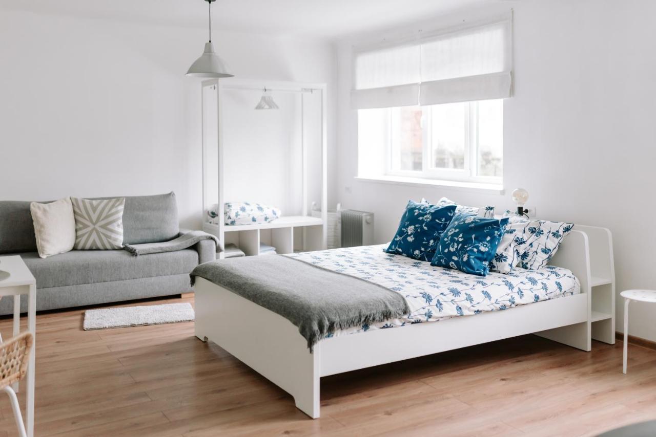 Lake Aluksne Studio Apartment 外观 照片